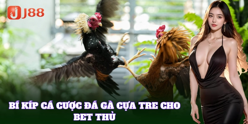 Mẹo để giúp bet thủ chơi cược Đá Gà Cựa Tre thành công