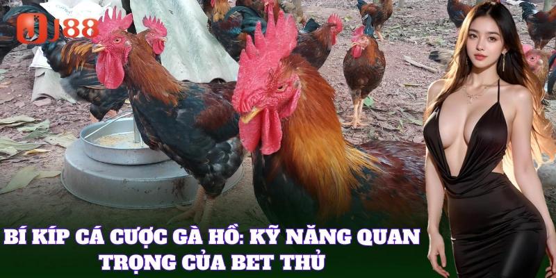 Mẹo để bet thủ dễ dàng ăn tiền khi cá cược