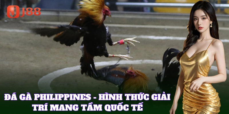 Đá Gà Philippines – Giải trí ăn tiền đẳng cấp tại J88