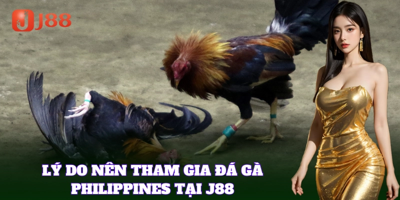 Đá Gà Philippines nổi tiếng với những trận đấu căng thẳng