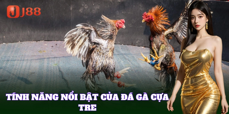 Đá Gà Cựa Tre mang lại những trận đấu kịch tính