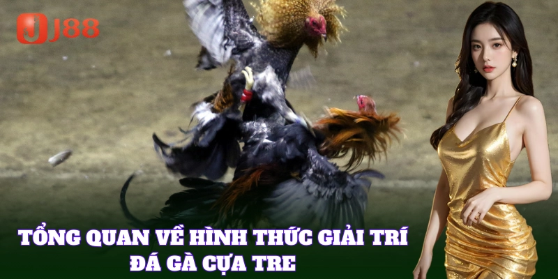Đá Gà Cựa Tre giúp bạn thỏa mãn đam mê chiến kê